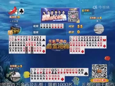 谁是赢家20220508