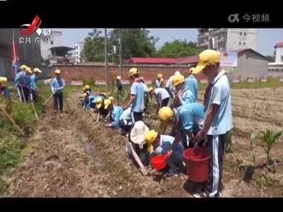 赣州大余：学生都有“责任田” 课余时间学种地