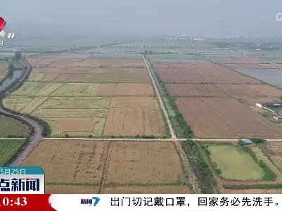 整点新闻20220525 14:00