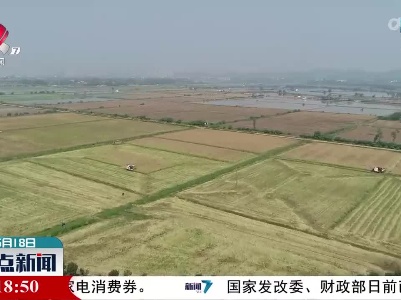 整点新闻20220518 16:00
