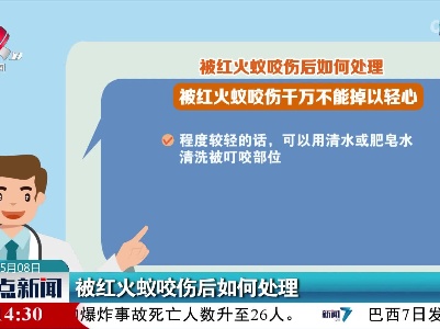 被红火蚁咬伤后如何处理