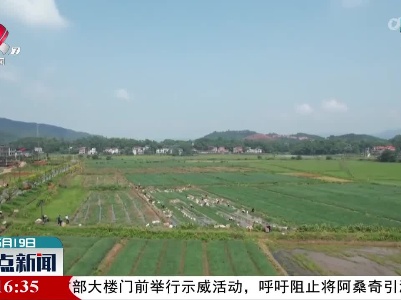 整点新闻20220519 12:00