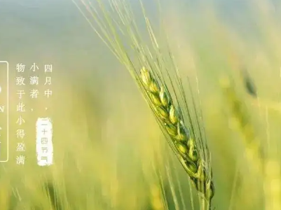 【地评线】江右时评：从“小满”中品悟“成长密码”