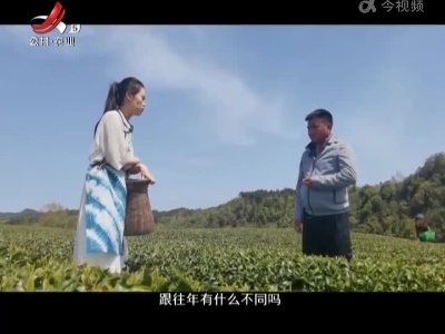 稻花香里20220502 乡村振兴青年说——婺源：一杯春茶且留客