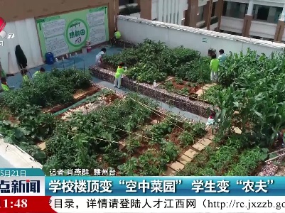 学校楼顶变“空中菜园” 学生变“农夫”