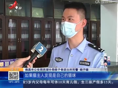 【法案直击】南昌西湖：聪明用错地儿 男子自制捕猫器偷猫被控制