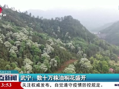 武宁：数十万株油桐花盛开