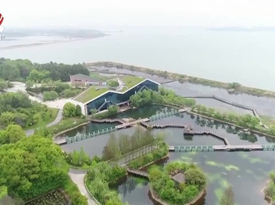 江西：保护鄱阳湖湿地生态 生物多样性持续向好