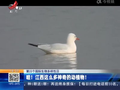 【第22个国际生物多样性日】哇！江西这么多神奇的动植物！
