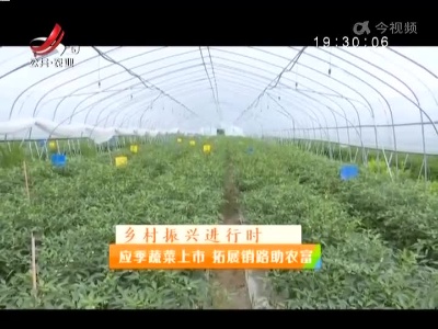稻花香里20220530乡村振兴进行时——应季蔬莱上市 拓展销路助农富
