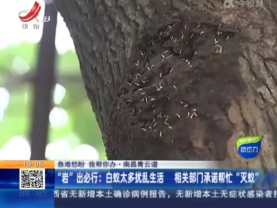 【急难愁盼 我帮你办·南昌青云谱】“岩”出必行：白蚁太多扰乱生活 相关部门承诺帮忙“灭蚁”