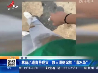 南昌：林荫小道青苔成灾 数人滑倒宛如 “溜冰场”