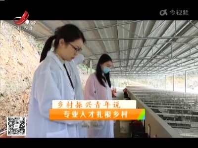 稻花香里20220506 乡村振兴青年说——老技艺也能焕发“青春”活力