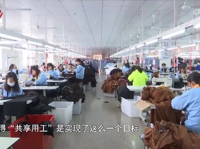 社会传真20220530共享用工：怎么共享 如何推广