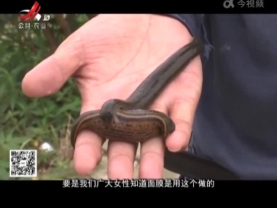 稻花香里20220505 乡村振兴青年说——希望的“另类”致富路