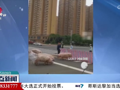 货车侧翻“二师兄”满街跑