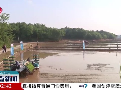 整点新闻20220516 14:00
