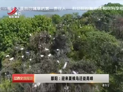 江西文旅报道20220509