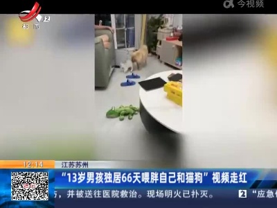 江苏苏州：“13岁男孩独居66天喂胖自己和猫狗”视频走红