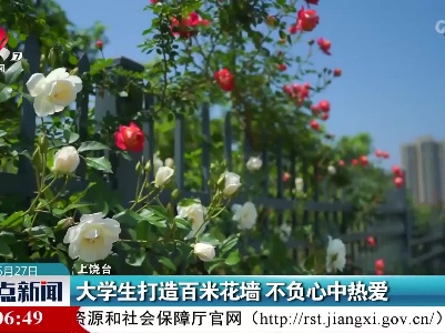 大学生打造百米花墙 不负心中热爱