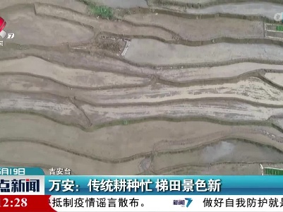 万安：传统耕种忙 梯田景色新
