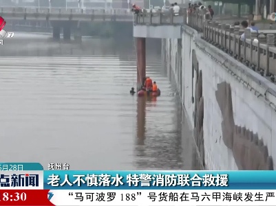 老人不慎落水 特警消防联合救援