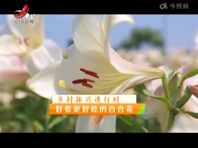 稻花香里20220523 乡村振兴进行时——好看更好吃的百合花