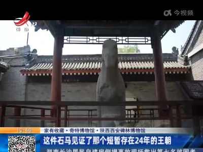 【家有收藏·奇特博物馆】陕西西安碑林博物馆：这件石马见证了那个短暂存在24年的王朝