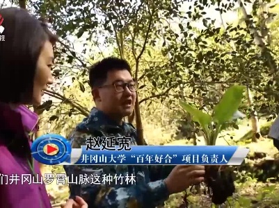 社会传真20220517 老区看新貌