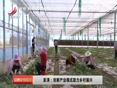 九江彭泽：创新产业模式助力乡村振兴