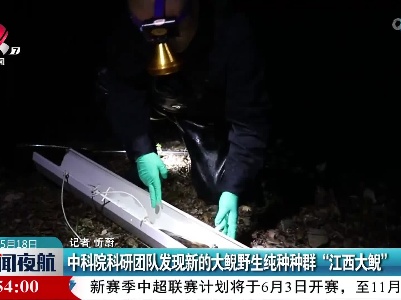 中科院科研团队发现新的大鲵野生纯种种群“江西大鲵”