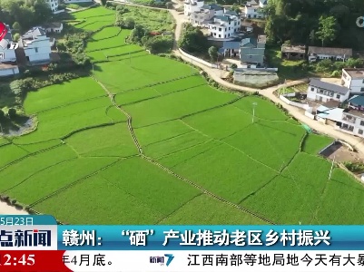 赣州：“硒”产业推动老区乡村振兴