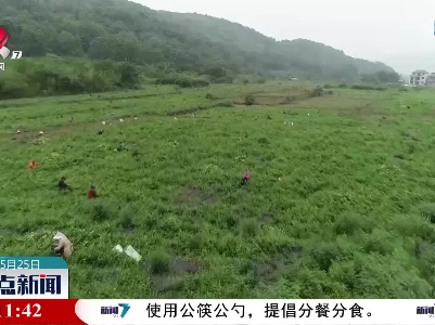 整点新闻20220525 10:00