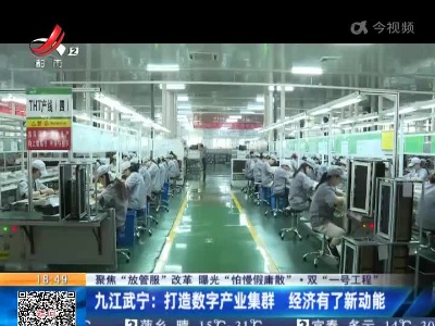 【聚焦“放管服”改革 曝光“怕慢假庸散”·双“一号工程”】九江武宁：打造数字产业集群 经济有了新动能