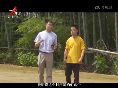 稻花香里20220527 乡村振兴进行时——民间味道 我把家乡告诉你