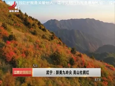武宁：醉美九岭尖 高山杜鹃红