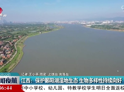江西：保护鄱阳湖湿地生态 生物多样性持续向好
