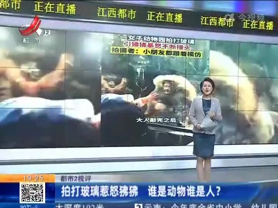 【都市2视评】拍打玻璃惹怒狒狒 谁是动物谁是人？