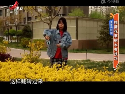 地宝当家20220505