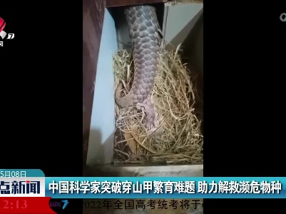 中国科学家突破穿山甲繁育难题 助力解救濒危物种