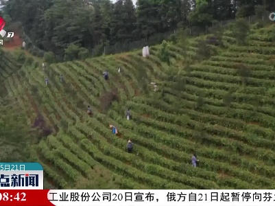 整点新闻20220521 16:00