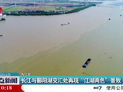 整点新闻20220611 16:00