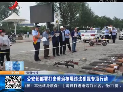 公安部部署打击整治枪爆违法犯罪专项行动