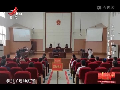 晚间800 20220620落槌有声·被撤销监护权的母亲