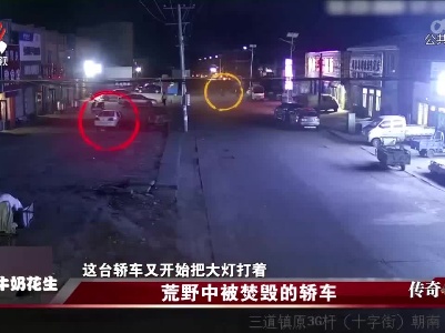传奇故事20220618 荒野中被焚毁的轿车