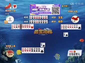 谁是赢家20220605