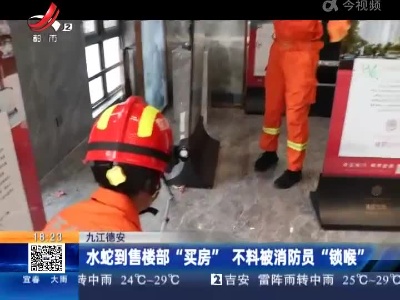 九江德安：水蛇到售楼部“买房” 不料被消防员“锁喉”