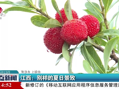 江西：别样的夏日景致