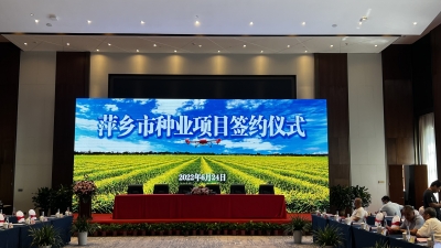 总金额4.5亿  2022萍乡市种业项目签约面积8.465万亩