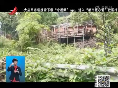 晚间800 20220603 隐居的“神医”
